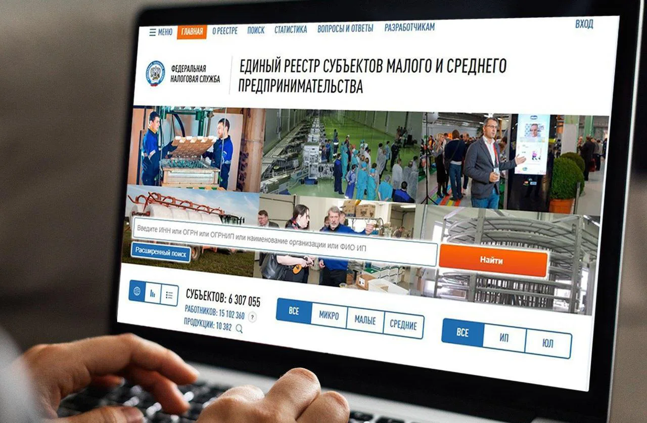 Единый реестр субъектов малого и среднего предпринимательства