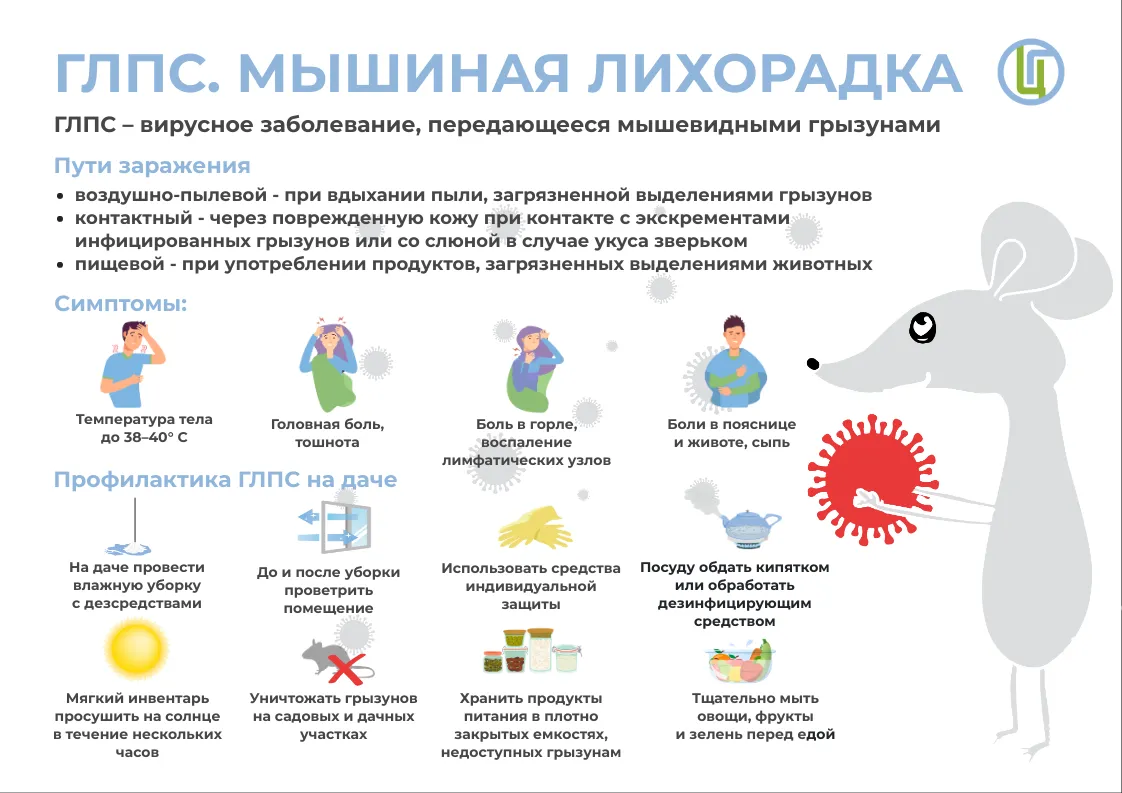 Мышиная лихорадка (ГЛПС): как защититься