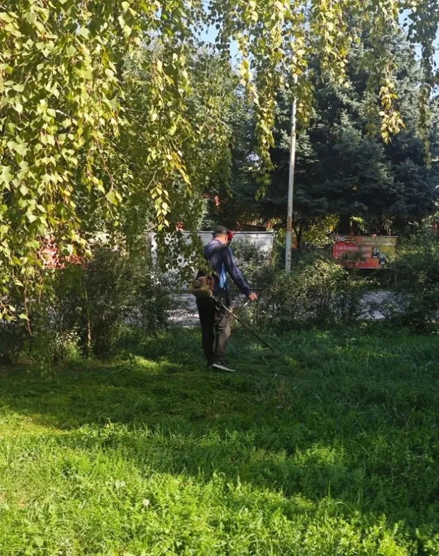 На территории Центрального парка прошли работы по уборке и покосу сорной растительности