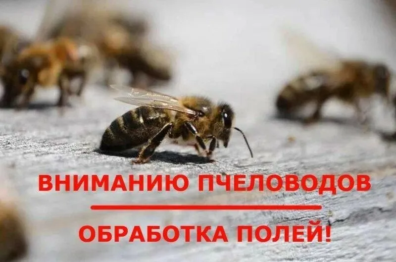 Внимание обработка пестицидами и агрохимикатами полей!