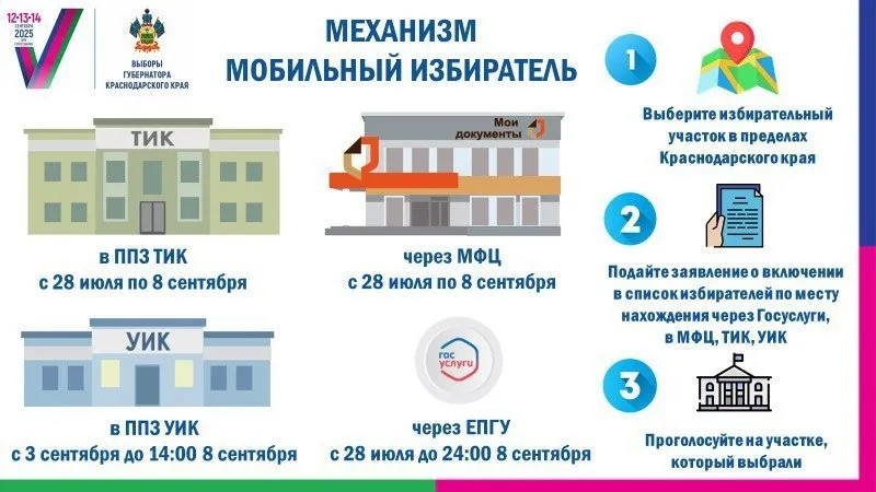 Механизм "Мобильный избиратель"