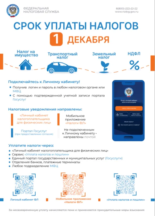 Почему налоги физического лица и налоги индивидуального предпринимателя списываются с одного единого налогового счета?