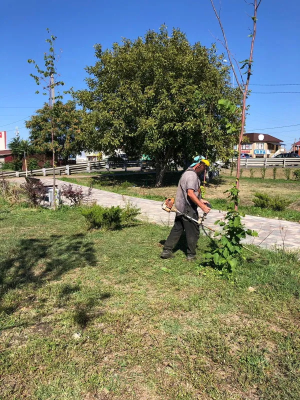 МУП «Коммунальник» провёл покос травы в Ейском сквере