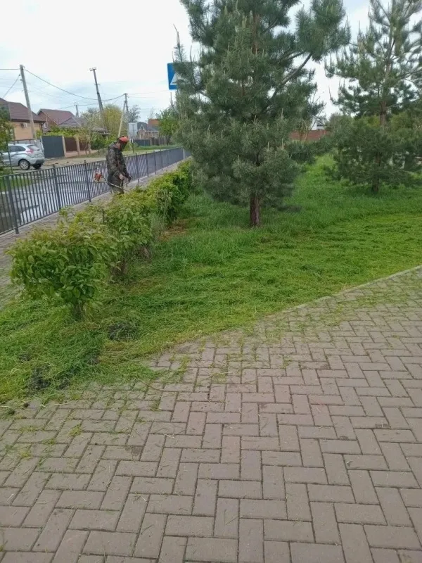 Покос травы на общественных территория