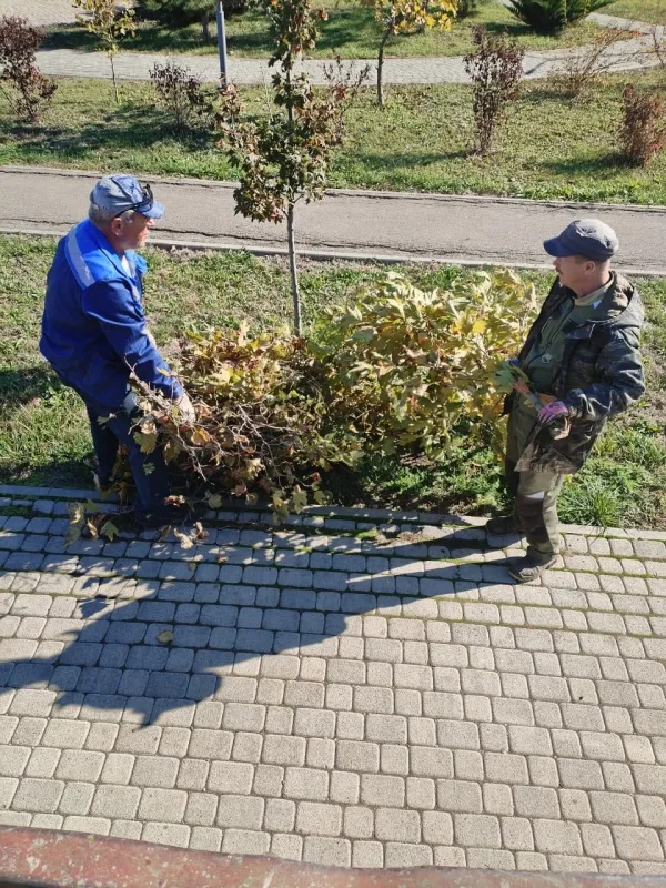 Сотрудниками МУП «Коммунальник» проведены работы по благоустройству в Ейском сквере