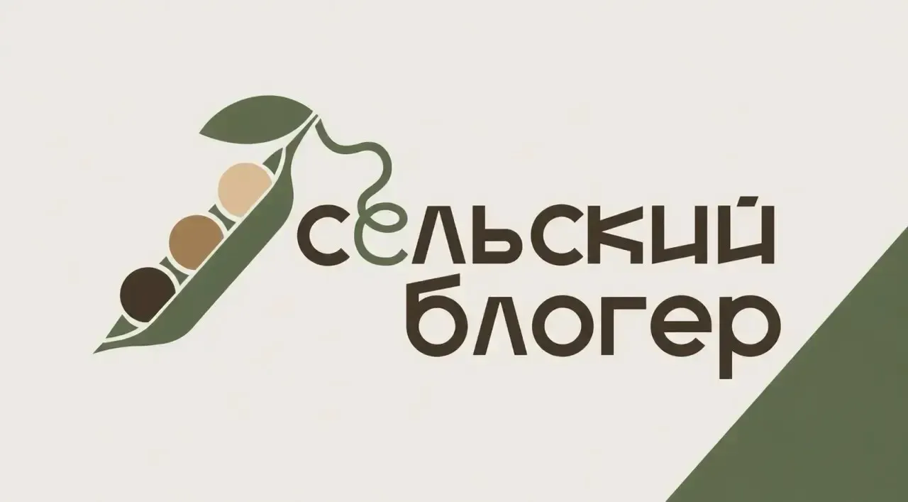 Проект «Сельский блогер»