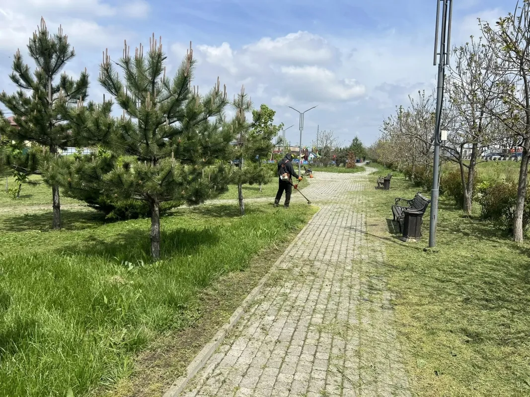 Покос травы в сквере на улице Ейское шоссе