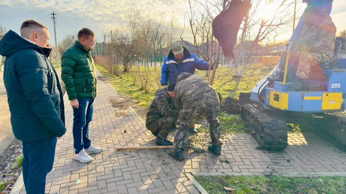 Озеленение сквера "Первомайский"