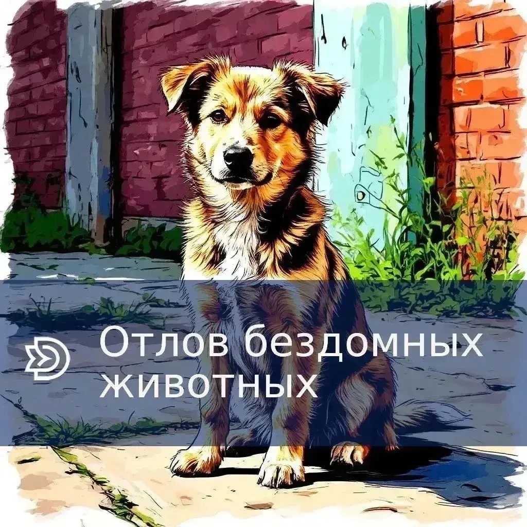 Отлов бездомных животных