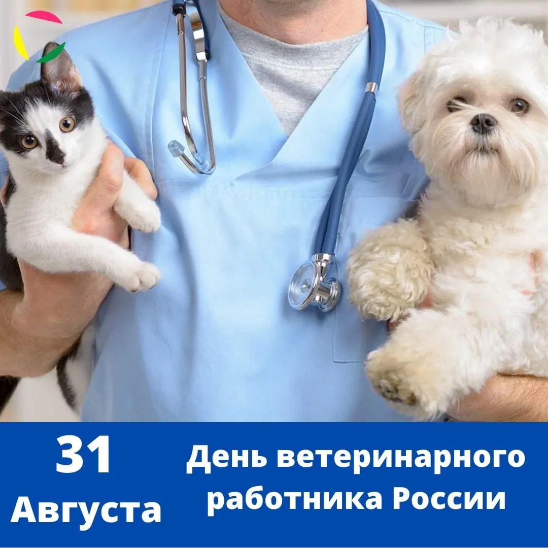 С Днём ветеринарного работника России!