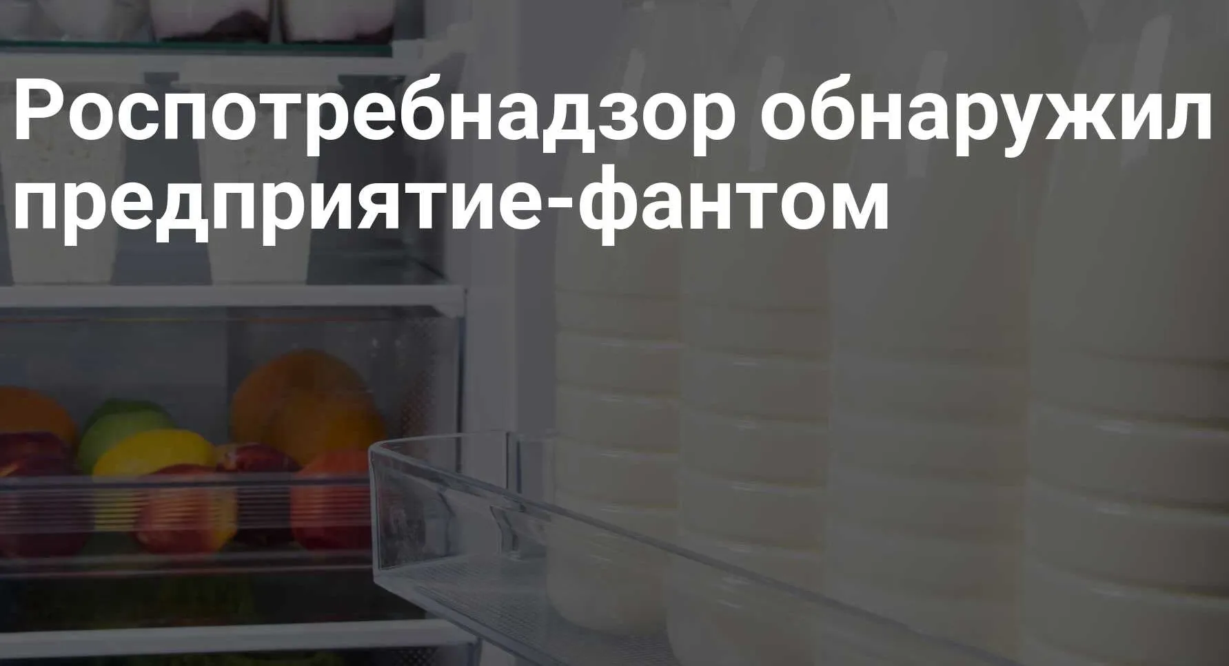 «Внимание! Предприятие «фантом» – ИП Шевлякова Светлана Юрьевна»».