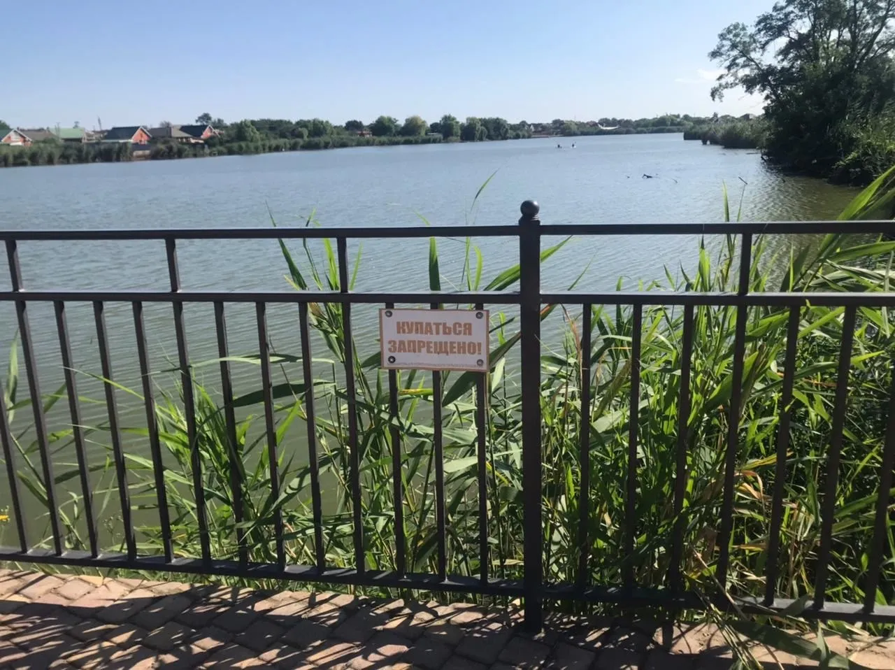 Купание запрещено!